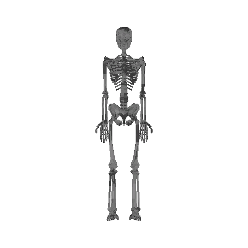 Skeleton Shieldbearer