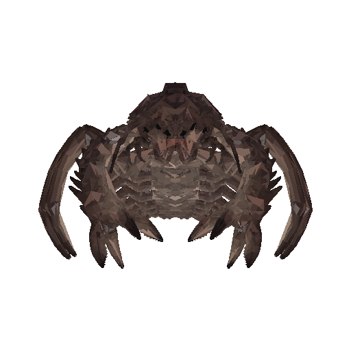 Hermit Crab